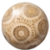 Fossil Coral